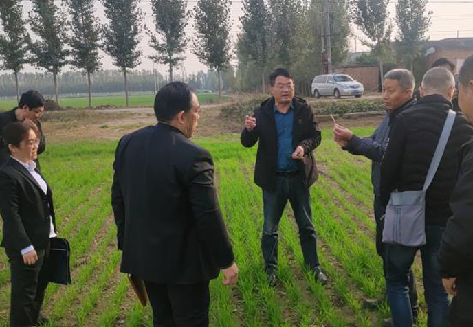 農業發展部組織召開小麥苗情觀摩會