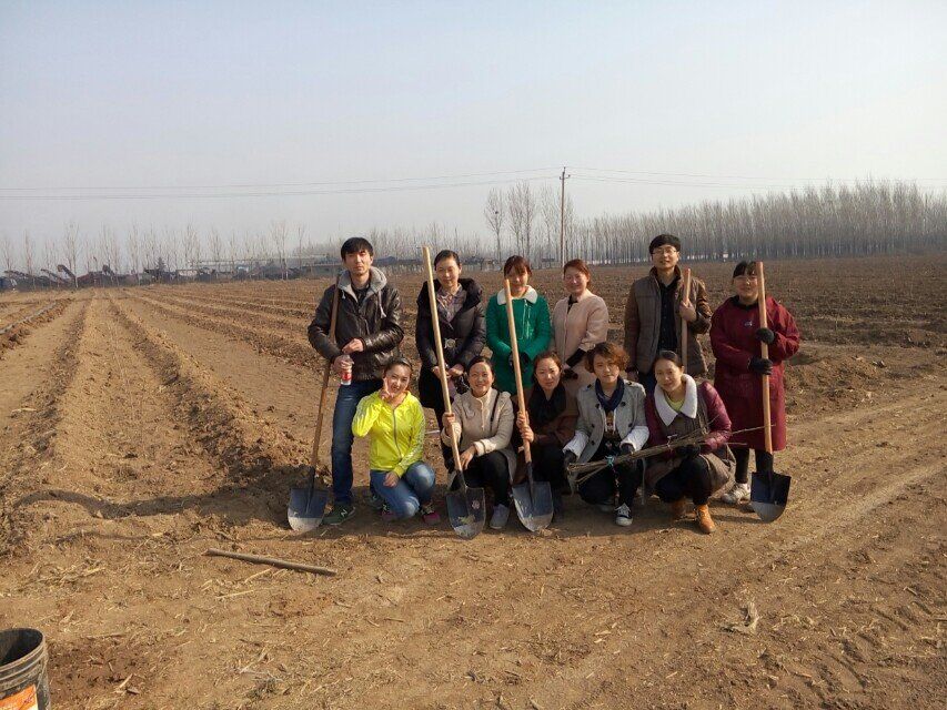 博農集團領導、基層黨政負責人等同志積極參加植樹活動