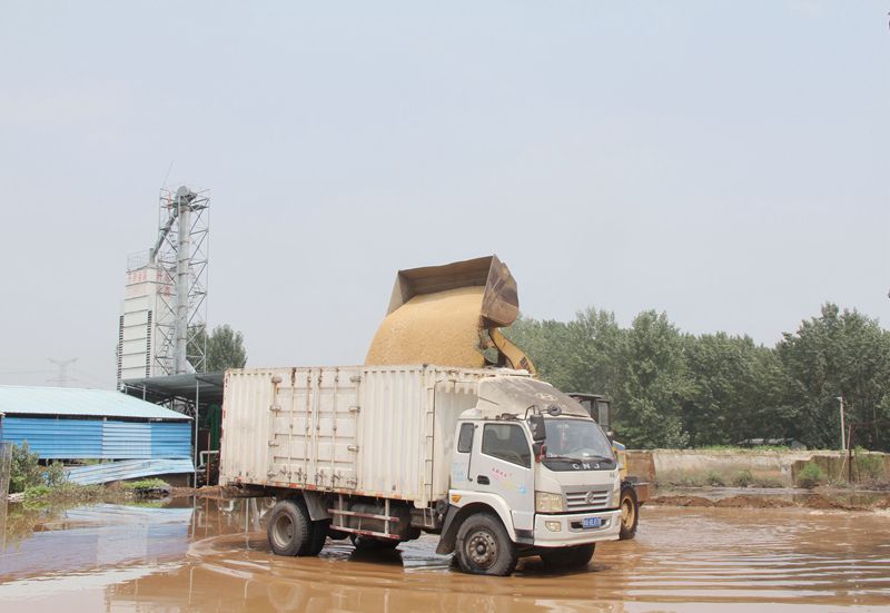 博農集團 “我為群眾辦實事”農業支部在行動