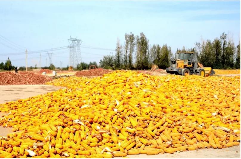 黨建引領促生產  凝心聚力保安全